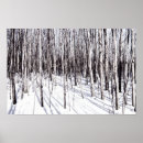 Search for winter birch tree art Black and white