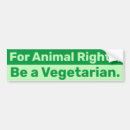 Search for vegetarians bumper stickers Peta