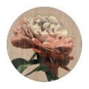 Recherche de rose planches à découper Floral
