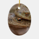 Search for toad ornaments Animal