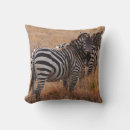 Recherche de roi de la jungle coussins Chat