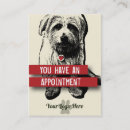 Search for veterinarian appointment cards Pet business