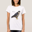 Recherche de falco tshirts Pour tous