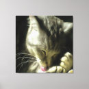 Search for purr art Cute