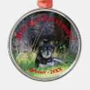 Search for stocking stuffer ornaments Dog