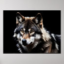 Recherche de portrait loup posters Forêt