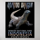 Search for komodo dragon posters Lizard