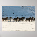 Search for horse ranch posters Farm
