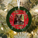 Search for family with dog ornaments Modern