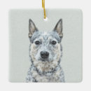 Search for red heeler ornaments Acd
