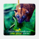 Recherche de possum ornements Faune