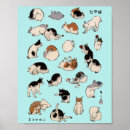 Recherche de bobtail posters Amoureux des chats