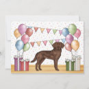 Search for labrador invitations Chocolate labrador retriever