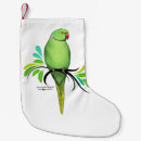 Search for indian ringneck parrot Parrots