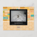 Recherche de dormir cartes postales Je peux avoir cheezburger