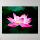 Recherche de fun posters Pink