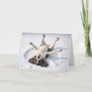 Search for spaniel christmas cards English springer spaniel