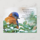 Search for eastern horizontal postcards Nature