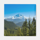 Search for hooded magnets North america