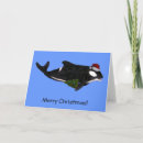 Search for killer whales cards Funny