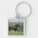 Search for thoroughbred horse keychains Fence