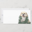 Search for shih tzu christmas cards Animal