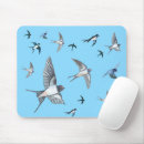 Recherche de hirondelles tapis souris Faune