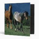 Search for mustang binders Bob langrish
