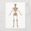 Recherche de cage thoracique posters Soins de santé