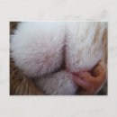 Search for extremity postcards Extreme close up