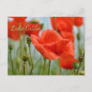 Search for mohn postcards Rot