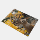 Recherche de deer paillassons Faune