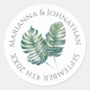 Search for monstera stickers Elegant