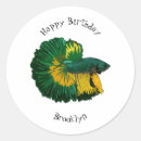 Search for pet fish stickers Siamese fighting fish
