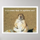 Search for prairie art Animals