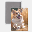 Search for dog rectangular magnets Cat