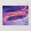 Search for sandhill postcards Usa