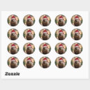 Search for wombat stickers Australian