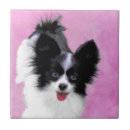 Recherche de papillon blanc carreaux Noir