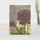 Search for allium Blossoms