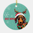 Search for wiener dog ornaments Funny