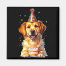 Search for golden retriever magnets Fun