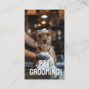 Search for pet portrait business cards Dog walker