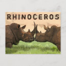 Recherche de rhinocéros blanc posters Nature