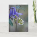 Recherche de mamie de cartes postales Nature