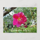 Recherche de hollyhock posters Été