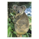 Search for single looking posters Nobody