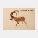 Search for ibex Animals
