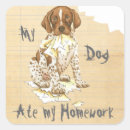 Search for german shorthair pointer stickers Puppy