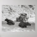 Search for vintage cow posters Farm